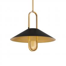  151-876 - Goldenridge 15" 1-Light Pendant