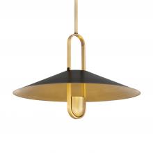  152-876 - Goldenridge 20" 1-Light Pendant