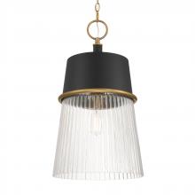  194-876 - Stamford 15" 1-Light Pendant