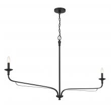  3825-899 - Velena 50" 2-Light Chandelier