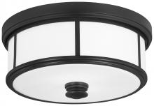  4365-66A - Harbour Point - 2 Light Flush Mount