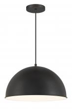  6203-66A - 1 Light Pendant