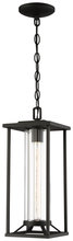  72474-66 - Trescott - 1 Light Chain Hung