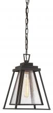  73114-226 - Sleepy Hollow - 1 Light Chain Hung