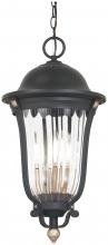  73237-738 - Peale Street - 4 Light Chain Hung