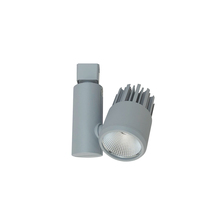  NTE-845L930X15S - Aiden LED Track Head, 1250lm / 14W, 3000K, Spot/Flood, Silver