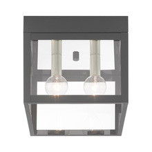  20588-76 - 2 Lt Scandinavian Gray Outdoor Ceiling Mount