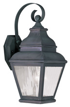  2601-61 - 1 Light Charcoal Outdoor Wall Lantern