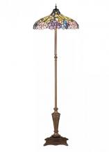  30451 - 64"H Wisteria Floor Lamp