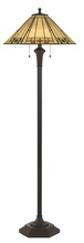  BO-2676FL - 60" Height Resin Floor Lamp in Matt Black