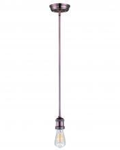  25038ACP/BUI - Mini Hi-Bay-Single Pendant