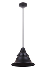  Z4411-MN - Union 1 Light Medium Outdoor Pendant in Midnight