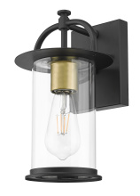  1023BK - 16.5 in. 1-Light Matte Brass And Black Outdoor Wall Lantern With Clear Cylinder Glass