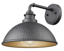  1031BK - 10.5 in. 1-Light Hammered Black With Matte Gold Interior Outdoor Wall Lantern