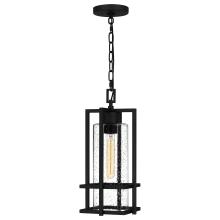  DMN1907EK - Damien 1-Light Earth Black Outdoor Hanging Lantern