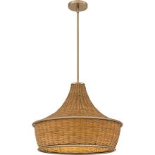  QP6770BGD - Quoizel Pendant