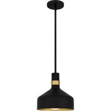  QPP6804MBK - Quoizel Piccolo Pendant