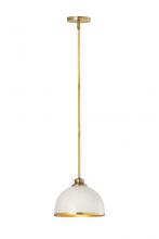  1004P10-MW-RB - 1 Light Pendant
