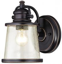  6204000 - Wall Fixture Amber Bronze Finish with Highlights Clear Seeded Glass