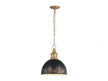  0809-M VG-WBI - Alison 1-Light Pendant in Vintage Gold with Weathered Black Iron