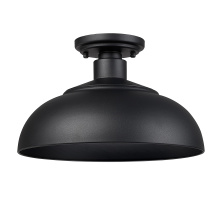  2866-OSF NB-NB - Yep by Golden Lighting Levitt 1-light Outdoor Ceiling in Natural Black and Natural Black shade