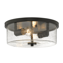  4307-FM BLK-SD - Wry Lighting Rayne 2-light Flush Mount in Matte Black
