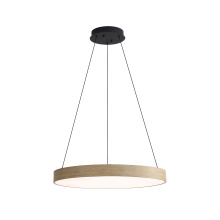  4963-24 DW - Wry Lighting Anello Integrated LED Pendant in Driftwood