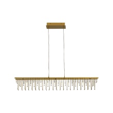  5461-LP48 SSG - Golden Lighting Lucerna Integrated LED Island Light in Stainless Steel Gold