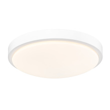  9128-FM13 WHT-OP - Golden Lighting Gabi Integrated LED 12in Flush Mount in Matte White