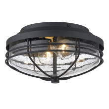  9808-OFM NB-SD - Golden Lighting Seaport 2-light Outdoor Ceiling in Natural Black