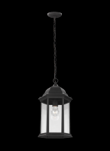  6238701-12 - Sevier One Light Outdoor Pendant