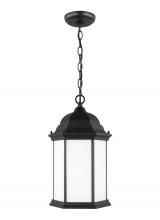  6238751-12 - Sevier One Light Outdoor Pendant