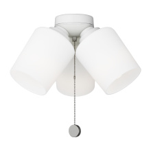 MC268RZW - Windom Light Kit in Matte White with Opal Etched Glass