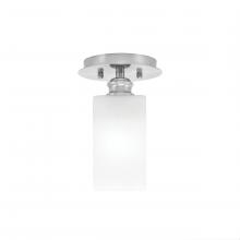  1160-BN-541 - Semi-Flushes
