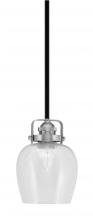  1941-MBBN-4810 - Mini Pendants