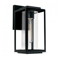  AA1018MB - 1-Light Outdoor Wall Lantern