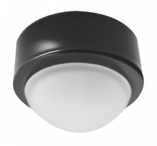  E225B - MINI LIGHT BLK RING WHT FRSTD GLOB