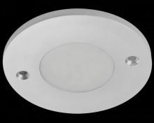  E252N - 3.5W RND LED PK LT 300LMN SURFACE 12V 3K