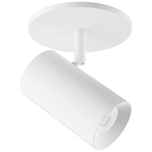  E25MW-10DX30 - 2" MONOPOINT 38° 1000LM 3 IN 1 30K WHT