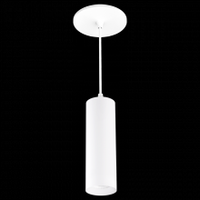  E25PW-08CT5 - 2" PNDNT 38 850LM 5CCT WHT