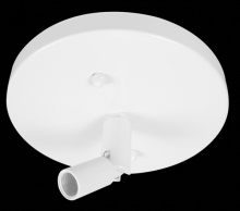  EP905B - SLOPE CEILING PENDENT