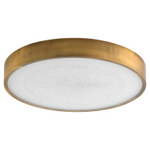  3-656-56 - FLOE 24" 5CCT CEILING MT - BRB