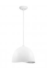  P1914-736 - ECLOS - 1 LT PENDANT