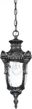  60/2025 - Dunmore; 1 Light; Hanging Lantern with Clear Water Glass