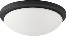  60/2943 - 1-Light Dome Flush Mount Lighting Fixture in Textured Black Finish with White Glass and (1) 18W GU24