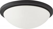  60/2946 - 2-Light Dome Flush Mount Lighting Fixture in Textured Black Finish with White Glass and (2) 13W GU24