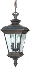  60/973 - Charter - 2 Light - 20" - Hanging Lantern - w/ Clear Water Glass