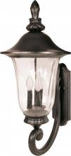  60/978 - Parisian - 3 Light - 29" - Wall Lantern - Arm Up with Fluted Seed Glass
