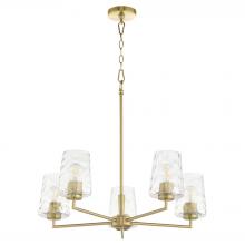  6204-5-80 - GOODWIN 5LT CHAND - AGB