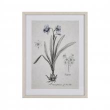  S0056-10634 - Daffodil Botanic Framed Wall Art